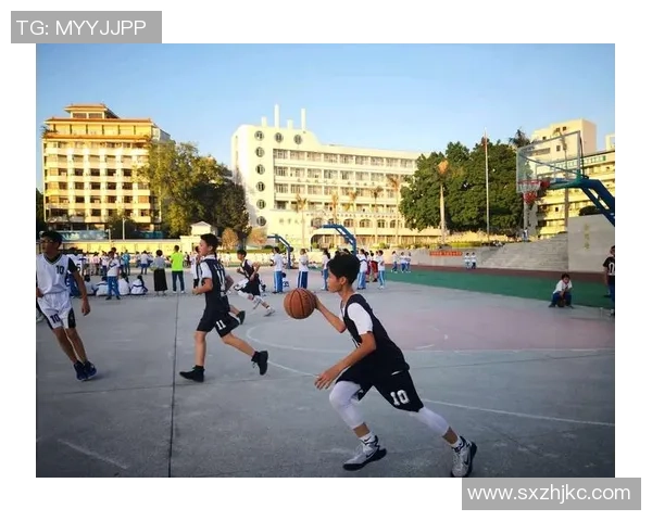 篮球的魅力与挑战：从技术演变到全球化发展趋势的深度剖析